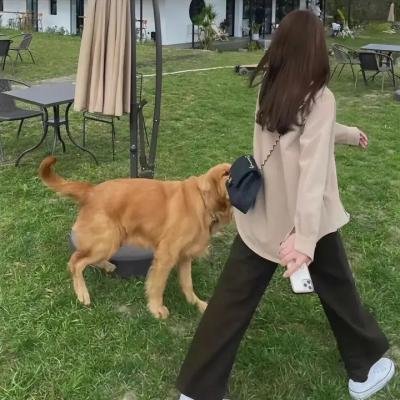 甜蜜的咒诅